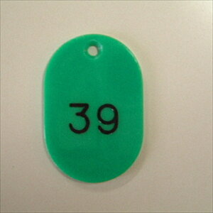 NEyACzԍD@ԍk1|100l@ A-4953349082328yCR-BG31-Gz