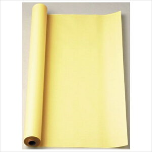 }ACyACz}Xڃ[@30@N[ A-4902850127172y}-53Cz