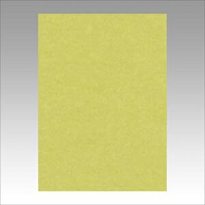 �����e�b�N�yAC�z�j���[�J���[4��100���@��Ȃ� A-4954022641061���yGO4NCR-106�z