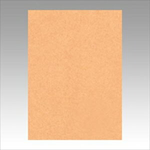 �����e�b�N�yAC�z�j���[�J���[4��100���@�������� A-4954022641092���yGO4NCR-109�z