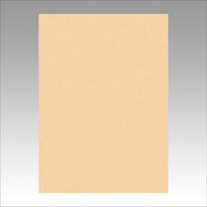 �����e�b�N�yAC�z�j���[�J���[4��100���@���炿�� A-4954022641115���yGO4NCR-111�z