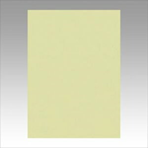 �����e�b�N�yAC�z�j���[�J���[4��100���@������ A-4954022641245���yGO4NCR-124�z