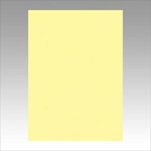 �����e�b�N�yAC�z�j���[�J���[4��100���@���C�g�C�G���[ A-4954022641344���yGO4NCR-134�z
