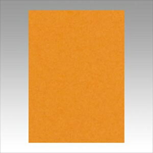 �����e�b�N�yAC�z�j���[�J���[4��100���@�����ǂ��� A-4954022642105���yGO4NCR-210�z