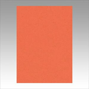 �����e�b�N�yAC�z�j���[�J���[4��100���@�������� A-4954022642136���yGO4NCR-213�z