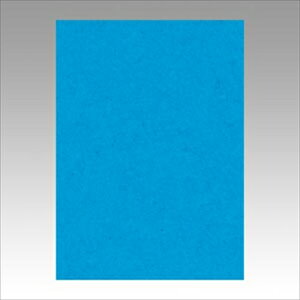 ebNyACzj[J[4100@ A-4954022642167yGO4NCR-216z