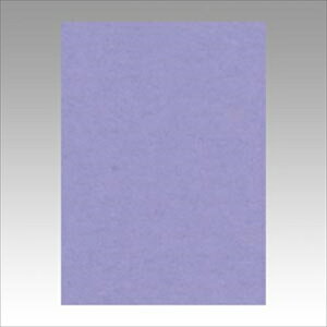 ebNyACzj[J[4100@ӂނ炳 A-4954022642174yGO4NCR-217z