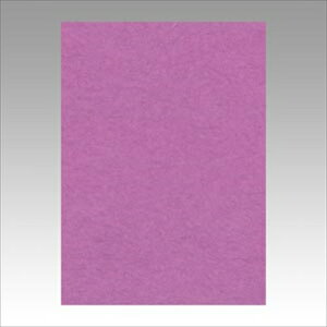 ebNyACzj[J[4100@ނ炳 A-4954022642310yGO4NCR-231z