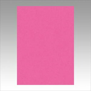 �����e�b�N�yAC�z�j���[�J���[4��100���@�������� A-4954022642327���yGO4NCR-232�z