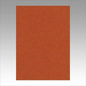 �����e�b�N�yAC�z�j���[�J���[4��100���@���Ⴂ�� A-4954022642365���yGO4NCR-236�z
