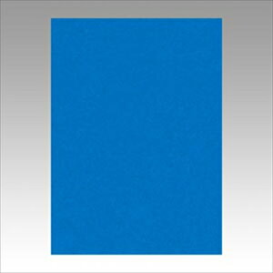 ebNyACzj[J[4100@ A-4954022642396yGO4NCR-239z