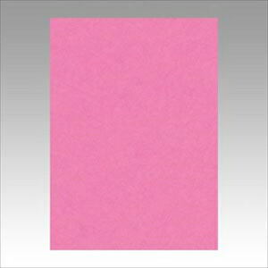 ebNyACzj[J[4100@ A-4954022642426yGO4NCR-242z