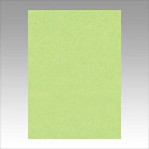 ebNyACzj[J[4100@킩 A-4954022642433yGO4NCR-243z