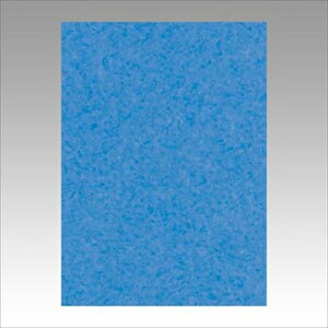 ebNyACzj[J[4100@炢 A-4954022642501yGO4NCR-250z