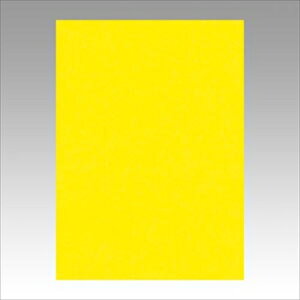 �����e�b�N�yAC�z�j���[�J���[4��100���@������ A-4954022643195���yGO4NCR-319�z