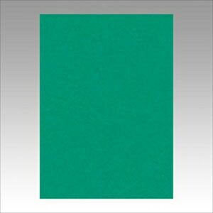 �����e�b�N�yAC�z�j���[�J���[4��100���@�G�������h A-4954022643225���yGO4NCR-322�z