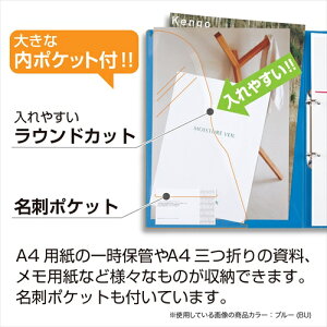�yAC�zA-4974214159341 �Z�L�Z�C �A�h���������O�t�@�C���@�C�G���[ �yAD-2225-50 �C�G���[�z