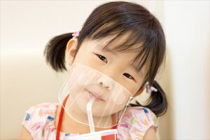 yEށzAR4521718514390 A[ebN NAV[g}XNcp(10g)