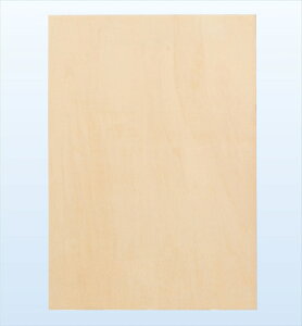 �y����E���ށzAR4548030300784 �A�[�e�b�N �p�l�� A4 �˘g