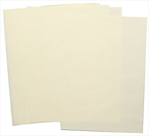 yEށzAR4521718034515 A[ebN A4y[p[PiNbL[p2100