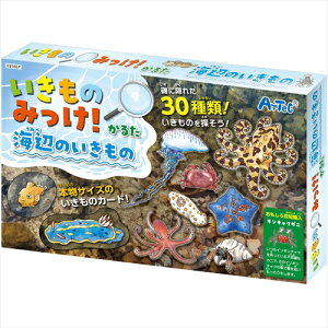 yEށzAR4521718216577 A[ebN ݂̂!邽 ׂ݂̂