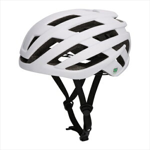 yEށzAR4546721013012 J򐻍쏊 ]ԗpwbg ST#V001  MTCY