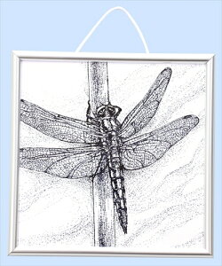 yEށzAR4521718050652 A[ebN _`t[`