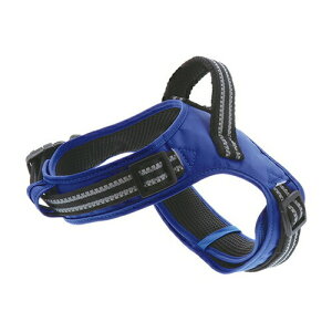 yeBIyybgpizun[lX S u[ pn[lX ˕tP-4903588564383yW56438z