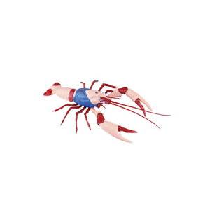 yڒ܍HsvzH-4968728171531 tW~͌^ R243 L}ҁ@AJUKj@L}dl yvfz