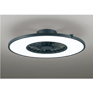 yODELICzOL291275BR I[fbN FLEDV[Ot@ `R[O[ I]t Rt `8 yXCb`ʔz