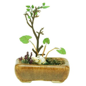y~̓~j`A͌^zH-4545782017724 vbc 1^12 THE BONSAI p񂹐Aij i BONN01yijz