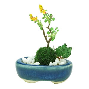 y~̓~j`A͌^zH-4545782017786 vbc 1^12 THE BONSAI 񂹐Aij i BONN07yijz