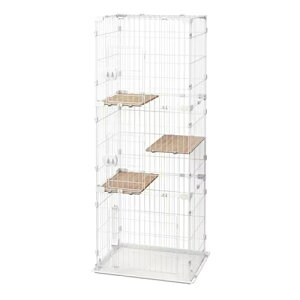 yybgpizI-4967576683036 ACXI[} RpNgLbgP[W3i i` CCC-168 ]|h~xgt yIRIS OHYAMAz