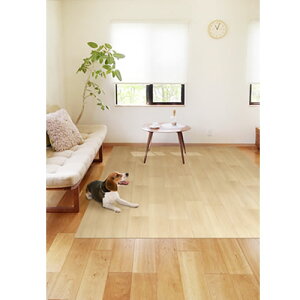 yybgpizLi4977932279797 aOrA ybgO PRUG-02 BE h~V[gt h~ ؖڒ 180×270cm x[W yȂ L 􂦂 O}bg rOz