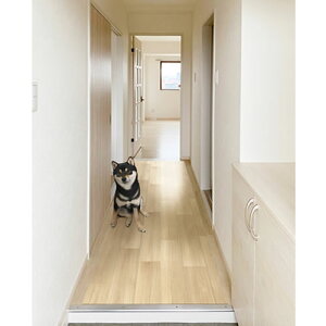 yybgpizLi4977932285866 aOrA ybgO PRO-02 BE h~V[gt h~ ؖڒ 80×500cm x[W yȂ L 􂦂 O}bg Lz