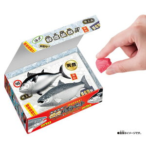 yzH-4975430519155 KnEX NxQIĨpYZbg {}OLOT[ S33p[cyΏ۔N6Έȏz