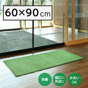 �y���p�i�zY-4903180253043 �R��Y�� �����X�e�b�v�}�b�gNEO(��6) G �O���[�� 60×90cm F-281-6-G �y�����p���փ}�b�g �h�A�}�b�g�z