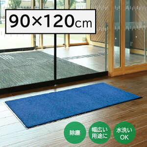 �y���p�i�zY-4903180253081 �R��Y�� �����X�e�b�v�}�b�gNEO(��12) BL �u���[ 90×120cm F-281-12-BL �y�����p���փ}�b�g �h�A�}�b�g�z