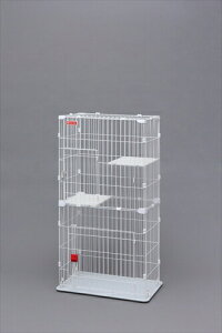 ACXI[}yybgpiz XLbgP[W2i zCg I-4967576215473