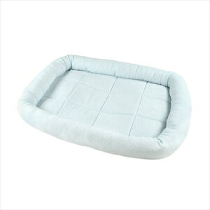 ybgvWpyybgpiz 2021@PP@^I}bg@M P-4981528813548