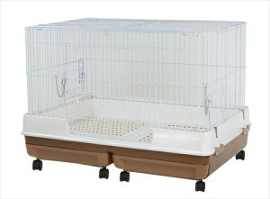 }Jyybgpiz ̃J^P[WCh P-4906456555506yMR-999z