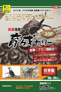 OWyybgpiz T102@Y@^Ch琬[[@30P P-4976285291029yT102z