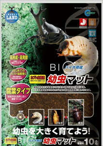 yybgpizP-4906456558910 }J oCI琬c}bg 10L yM-705z