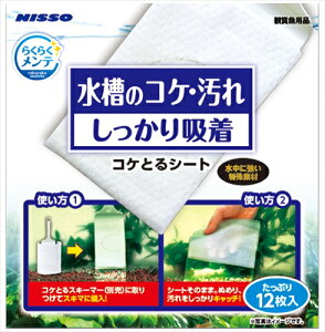 yybgpizP-4975637246922 }J jb\[ƕ 炭炭e RPƂV[g 12 yNAM-333z