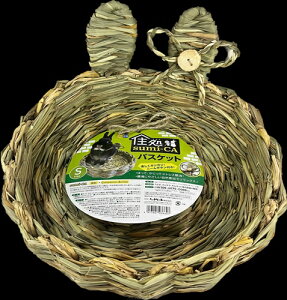 yybgpizP-4977007036607 nCybg Zsumi|CA oXPbg STCY