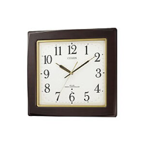 ���Y���y�V�`�Y���z�l�����[�i�A�X�J���d�g�|���v�y8MY455-006�z