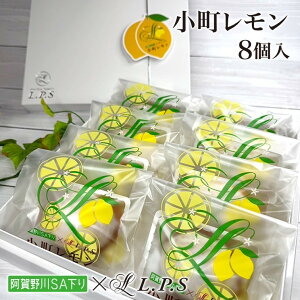 Ε ƂɁIyEl{C̈iz 8P[L XC[c mَq XC[cMtg 񂹃XC[c nXC[c Mtg 蕨 َq v[g j