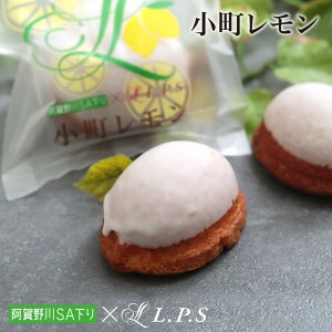 yEl{C̈iz1 P[L 1 XC[c mَq  Ԃ j 񂹃XC[c nXC[c Mtg i 蕨 ΂  