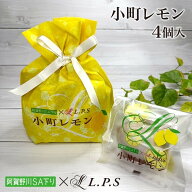 【職人本気の一品】 4個入 小町レモン レモンケーキ 4個 スイーツ 洋菓子 お取り寄せ スイーツギフト お…