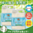 【2本セット】緑の魔女 ランドリー 送料無料 業務用 5KG 洗剤 緑の魔女 業務用 洗濯 パイプクリーナー 排水管掃除 洗剤業務用 洗剤パイプクリーナー 業務...